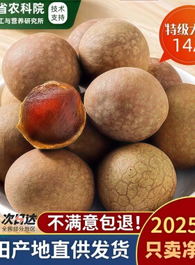 农科院福建莆田特产14A大桂圆干特级旗舰店2025年新货龙眼干小核