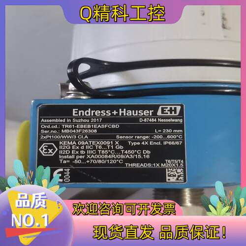 现货E+H温度变送器TR61-EBEB没有显示模块处理