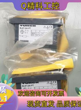 现货图尔克电子模拟量输入模块BL67-2A-PT 6827177