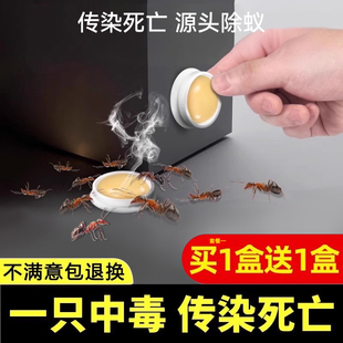 蚂蚁药家用室内非无毒一锅全窝端灭除杀小黄红蚁专用强效驱赶神器