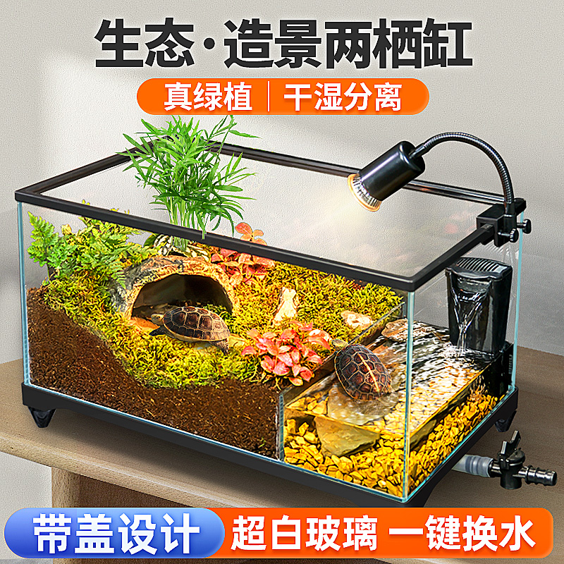 乌龟缸防逃逸带盖水陆两栖龟缸