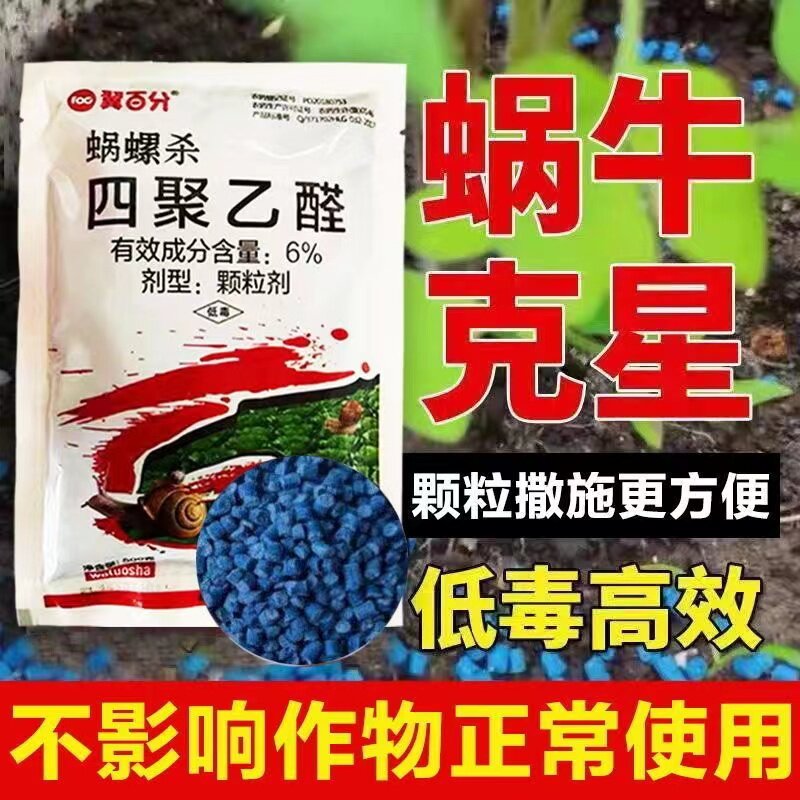 翼百分四聚乙醛蜗牛鼻涕虫