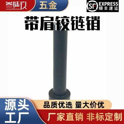 带肩铰链销内六角内螺纹型