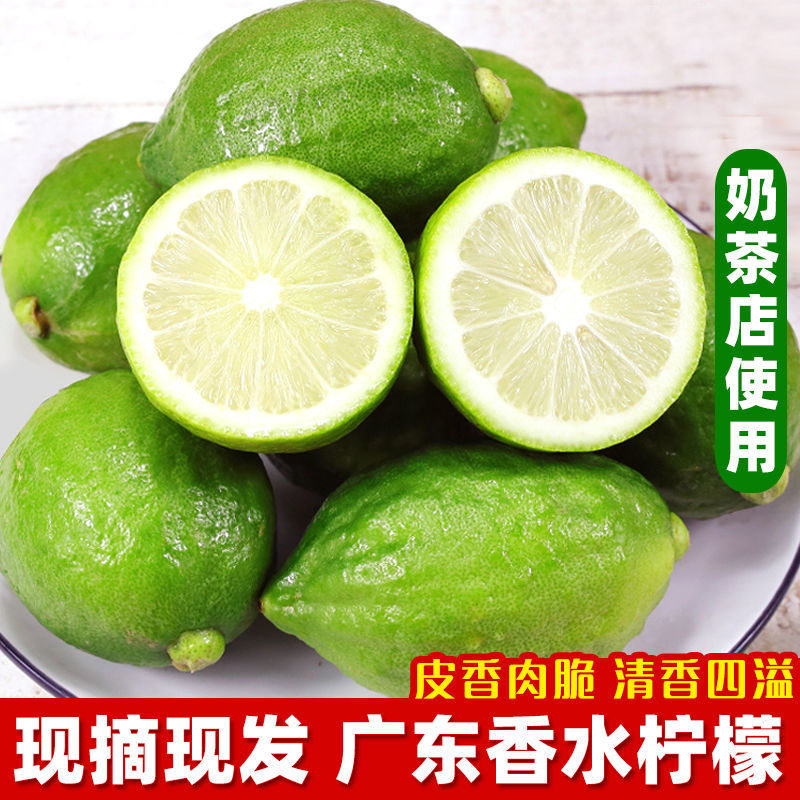 【香水柠檬】广东高州青柠檬茶饮品店水果手打当季应季水果包邮