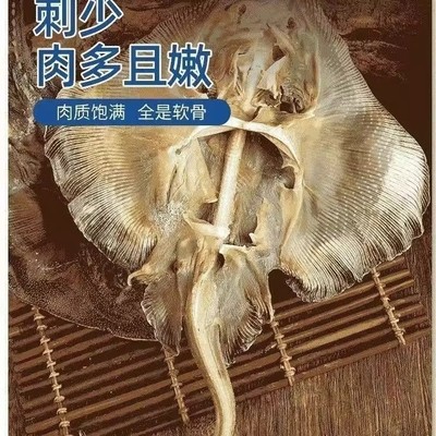 新晒皮鱼干软骨老板鱼八成干脆骨