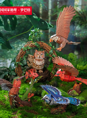 中国国家地理梦巴格 飞鸟集系列立体拼装纸模型可发声diy礼物玩具
