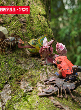 中国国家地理梦巴格 雨林小怪系列 3d立体拼装纸模 模型摆件礼物
