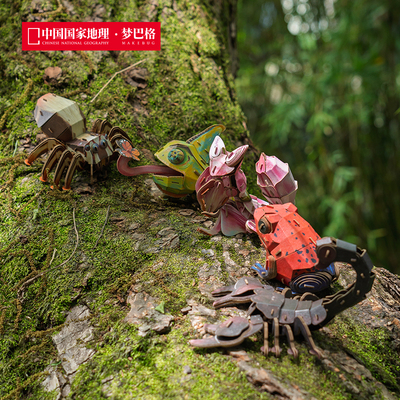 中国国家地理梦巴格 雨林小怪系列 3d立体拼装纸模 模型摆件礼物