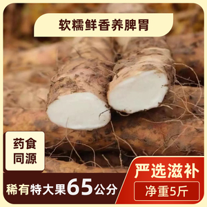 新鲜铁棍山药果王尺寸美食滋补铁杆沙土长直山药净重5斤