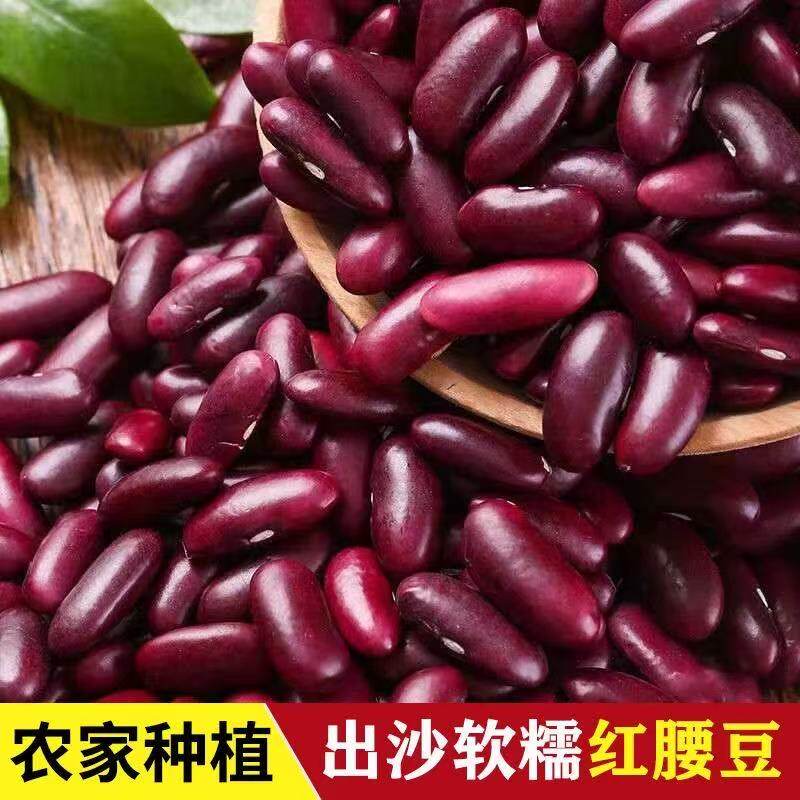 正宗红腰豆大粒云南特产大红豆子云豆类五谷杂粮红芸豆干货饭豆米