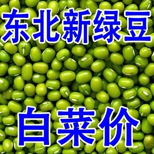 新货东北优质杂粮农家自产可发芽绿豆健康无农药化肥小绿豆
