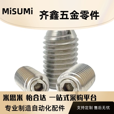 ZAL71 不锈钢负载可变型 ZAL81 内六角球头柱塞 BPCF/NPCF 8/10/1