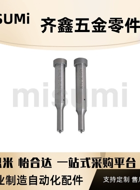 A-PJAL A-PJAS A-PJDL A-PJDS顶料型凸模