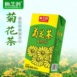 仙芝润菊花茶250ml*24整箱广东凉茶冬瓜茶饮料清凉茶饮料整箱包邮