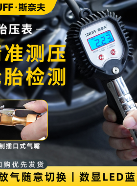 汽车轮胎胎压表电子数显打气表高精度测压气压表防震加气充气枪