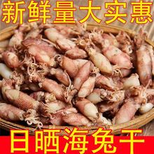 淡晒海兔干500g带籽鱿鱼仔笔管鱼新鲜海兔子墨鱼仔乌贼干海鲜干货