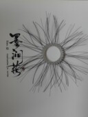 新款 马尾毛正宗黑马尾抻拉不断不掉毛防脱