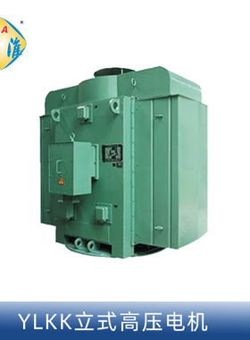 六安江淮10KV6千伏YL、YLKK355-4、YXLKK、YLS高压三相异步电机
