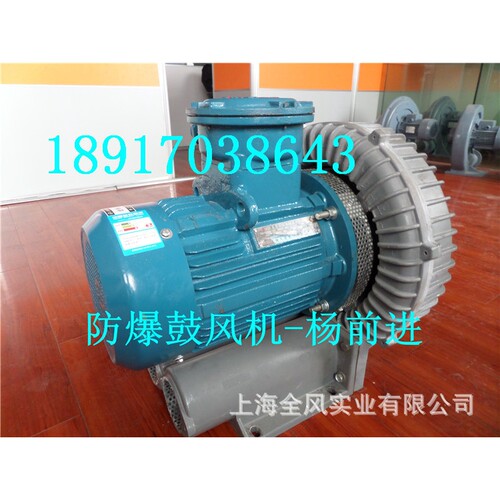 防爆鼓风机 15kw防爆鼓风机 气体输送防爆风机