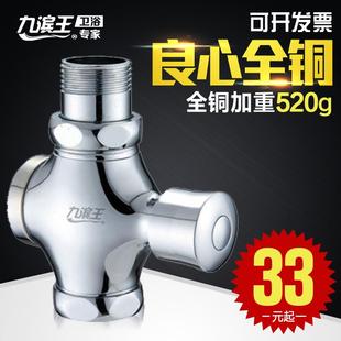 延时阀自闭式 九滨王全铜蹲便器冲水阀厕所大便冲洗阀手按式 冲水器