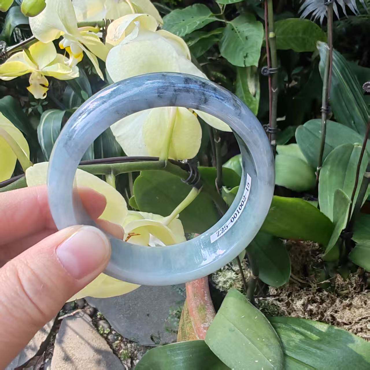 58圈缅甸料细糯种飘墨花翡翠A货手镯女正圈黑乌鸡玉镯子送女神节