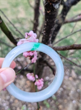 53圈天然缅甸翡翠A货手镯细糯种白底青阳绿正圈女款玉石手镯证书