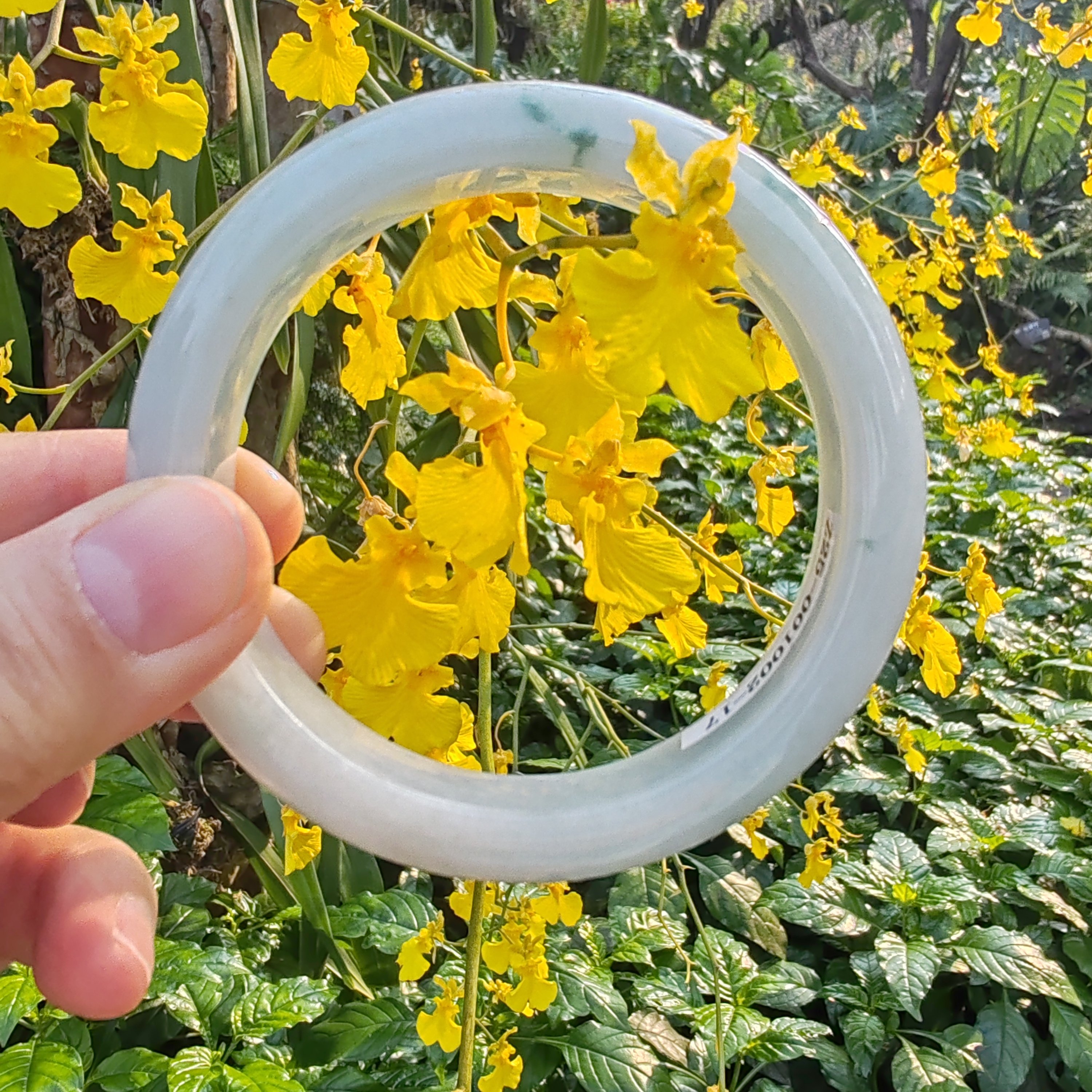 天然缅甸料翡翠A货手镯细糯种白底飘花浅绿浅紫春彩阳绿老坑玉镯