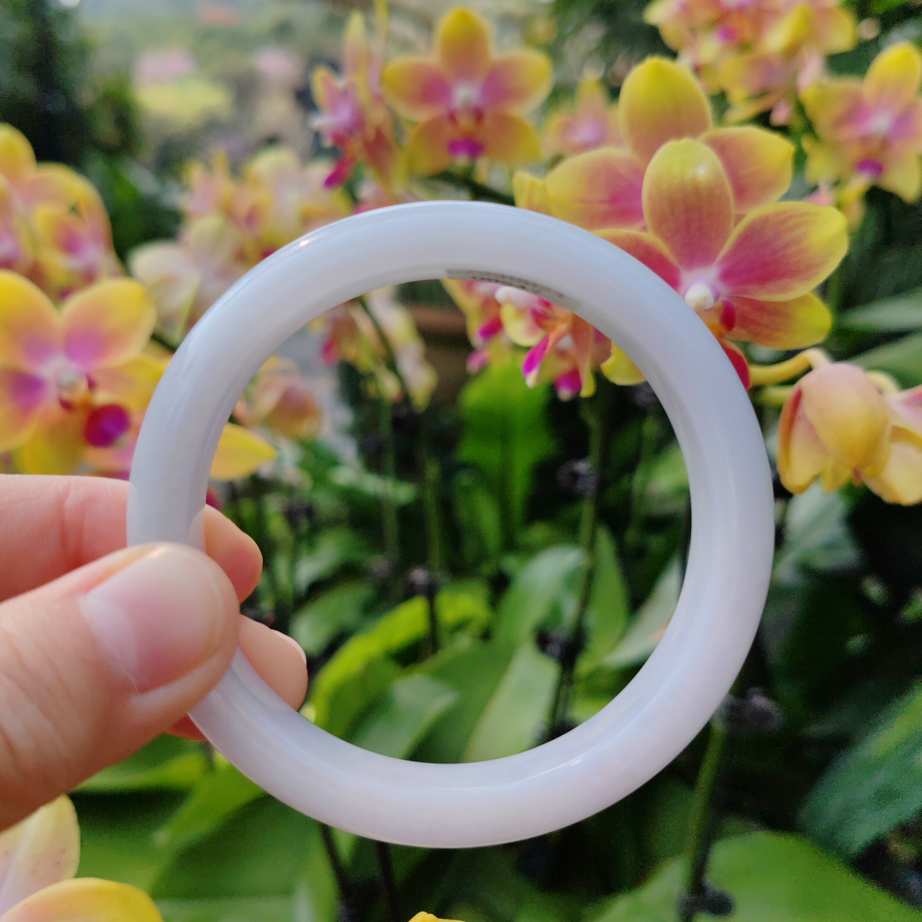 57.9天然缅甸料翡翠A货手镯细糯种春彩浅紫色送礼女友妈妈