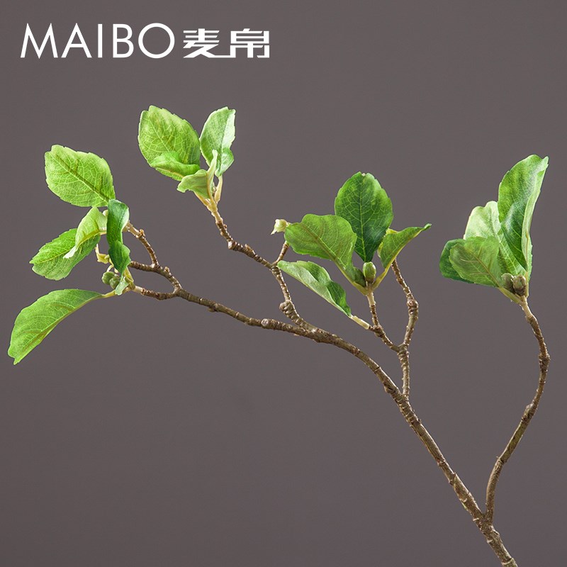 单支假树叶绿色仿真大叶子海棠叶盆栽家居装饰花T办公桌面植物摆