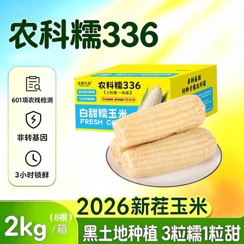 农科糯336白甜糯玉米非转基因三糯一甜真空预包装粗粮低脂代餐