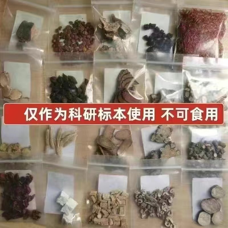 常用中药标本600味展示学习样品全套中草药标本中药标本学习