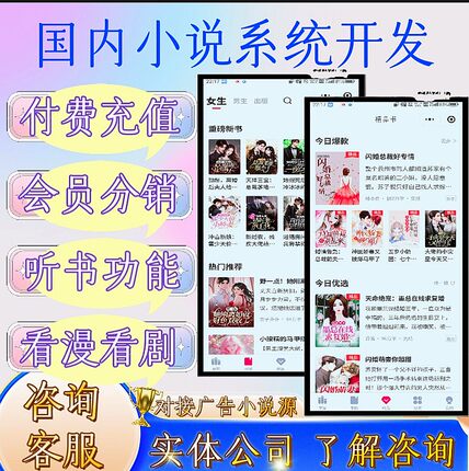 小说系统开发小说app开发漫画小程序定制分销系统源码对接广告