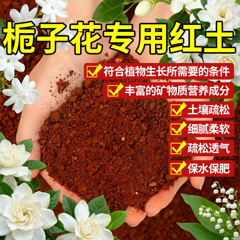 栀子花专用云南红土酸性营养土图片