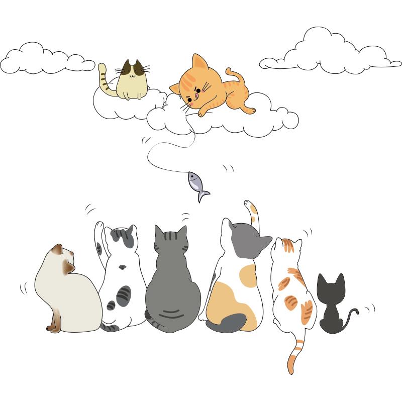 儿童房间墙壁卧室面装饰