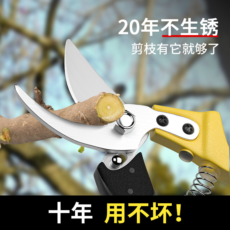 剪枝剪刀果树修枝剪园艺修剪专用修树枝剪子花卉树剪刀工具不锈钢图片