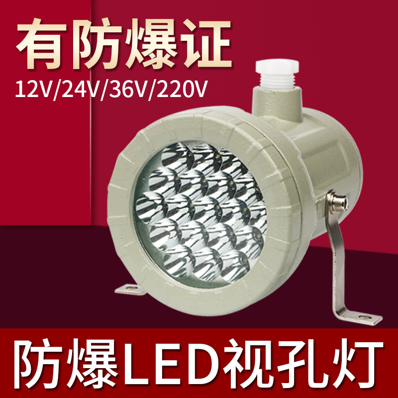 防爆视孔灯BSD96化学容器LED视孔灯12V24V36V220V反应釜视镜灯