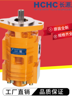 HCHC合肥长源液压油泵 CBGTBLA2063/2050/2040/2032-AFφ液压泵