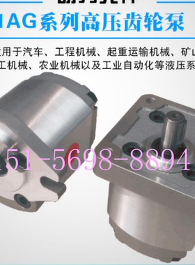 HAHYDROMXCJ齿轮油泵1AG1P06R 高压压力泵1AG1P27L液压泵1AG1P11R
