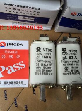 精达电器 NT00 保险丝 GL63A GL100A  GL160A  陶瓷保险丝 RT16