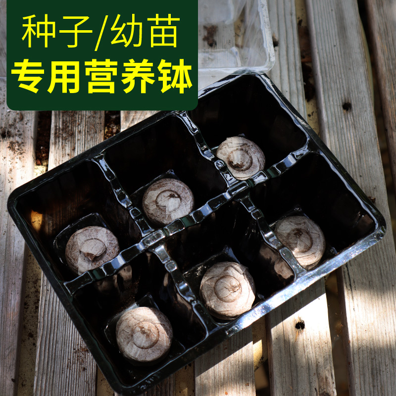 营养钵育苗盆塑料穴盘育苗盘播种器托盘种植盒育苗盒多肉扦插育苗