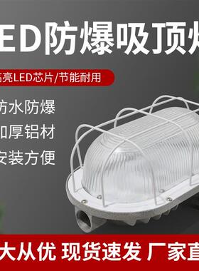 沈防led防爆吸顶灯20w椭圆防潮灯IP65防水防尘新能源汽车厂房照明