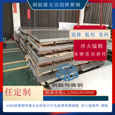 非标定制不锈钢带薄板弹