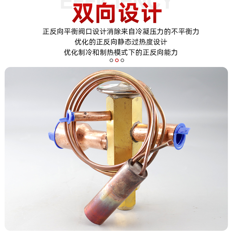 原装正品艾默生热力膨胀