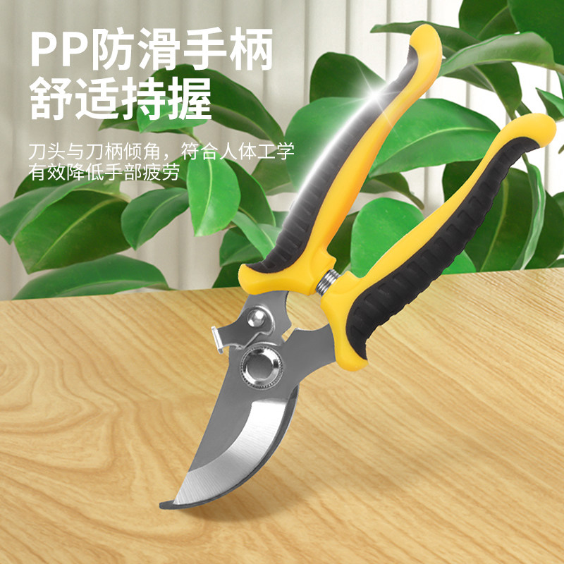 园艺剪刀果树修枝专用花图片