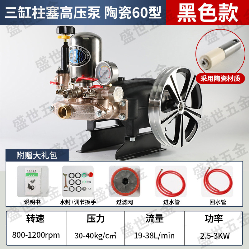 三缸柱塞泵农用免黄油高压打药机泵头喷雾器大流量抽水泵打药泵,鲜花速递/花卉仿真/绿植园艺,洒水/浇水壶,淘宝优惠券,粉丝福利购,淘宝优惠卷