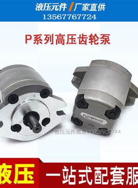 高压齿轮泵P101 P102 P135 P104 P105 P106 P107 P109 P127RP01GT