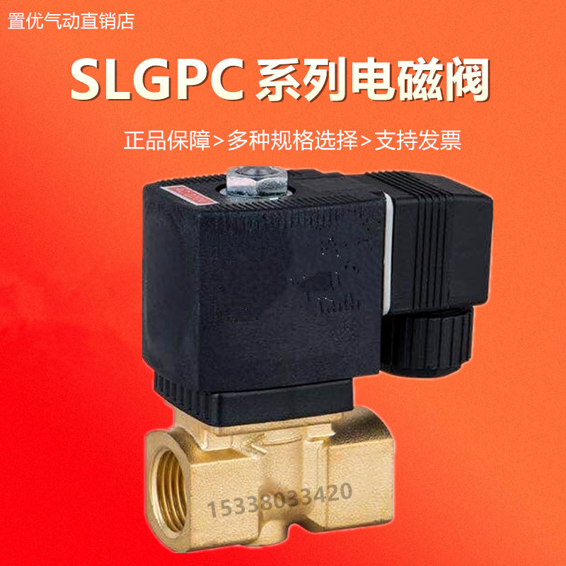 盛隆SLGPC宝德电磁阀6213-04 /06/08/02/03水阀气阀AC220V DC24V