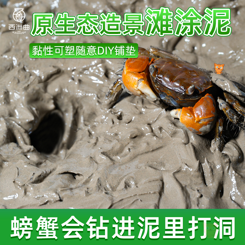 辣椒蟹生态泥铺底观赏蟹打洞泥滩涂泥谭氏泥蟹微景观造景用品河泥
