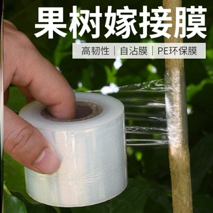 接穗打包杨梅树桂花透明自粘膜保鲜膜桃树果木芽接胶带塑料嫁接膜
