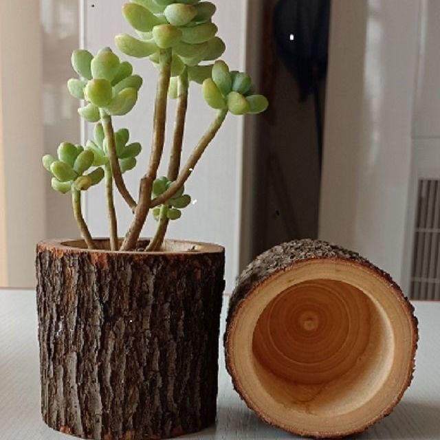 老木头花盆原木花盆木桩花盆特色花盆造型独特的多肉花盆创意个性,玩具/童车/益智/积木/模型,其它玩具,淘宝优惠券,粉丝福利购,淘宝优惠卷